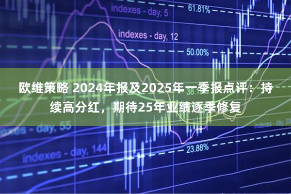 欧维策略 2024年报及2025年一季报点评：持续高分红，期待25年业绩逐季修复