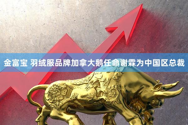 金富宝 羽绒服品牌加拿大鹅任命谢霖为中国区总裁