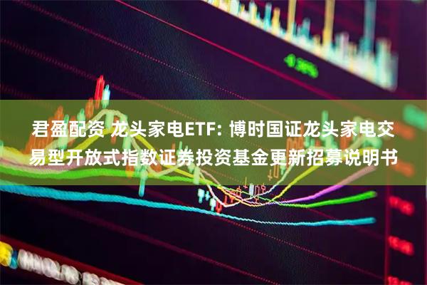 君盈配资 龙头家电ETF: 博时国证龙头家电交易型开放式指数证券投资基金更新招募说明书