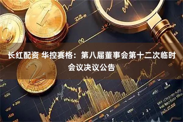 长红配资 华控赛格：第八届董事会第十二次临时会议决议公告