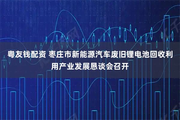 粤友钱配资 枣庄市新能源汽车废旧锂电池回收利用产业发展恳谈会召开