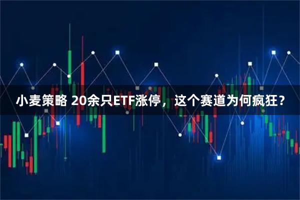小麦策略 20余只ETF涨停，这个赛道为何疯狂？