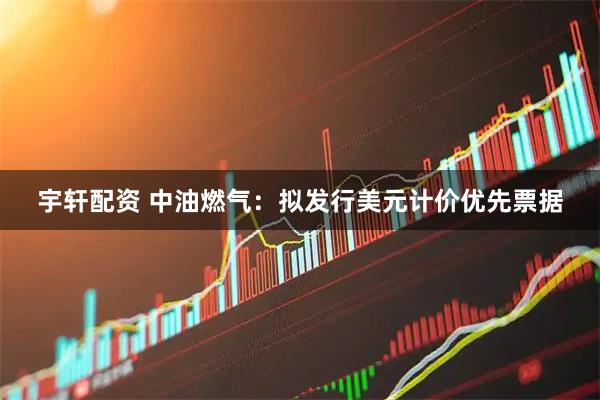 宇轩配资 中油燃气：拟发行美元计价优先票据