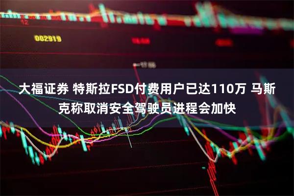 大福证券 特斯拉FSD付费用户已达110万 马斯克称取消安全驾驶员进程会加快