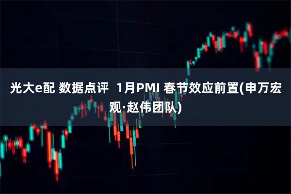 光大e配 数据点评  1月PMI 春节效应前置(申万宏观·赵伟团队)