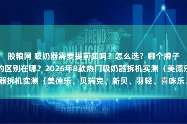 股粮网 吸奶器需要提前买吗？怎么选？哪个牌子好！活塞泵和隔膜泵的区别在哪？2026年8款热门吸奶器拆机实测（美德乐、贝瑞克、新贝、羽轻、喜咪乐、新安怡）