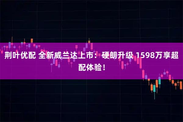 荆叶优配 全新威兰达上市：硬朗升级 1598万享超配体验！