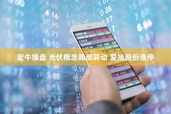 宏牛操盘 光伏概念局部异动 爱旭股份涨停